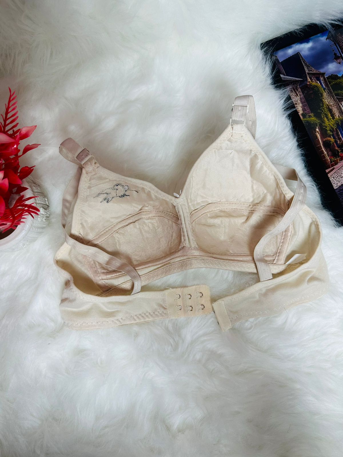 Premium Cotton Bra Non Padded Comfortable Bra for Ladies  Daily Wear Soft Support Bra